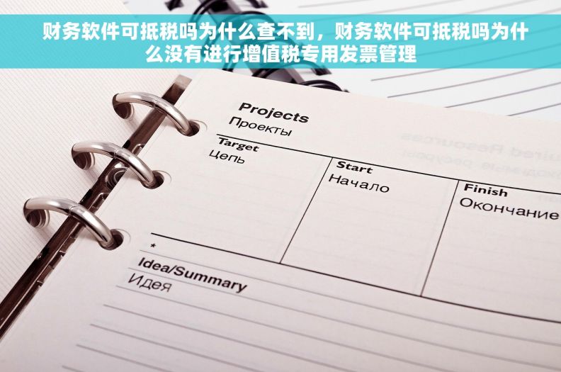   财务软件可抵税吗为什么查不到，财务软件可抵税吗为什么没有进行增值税专用发票管理