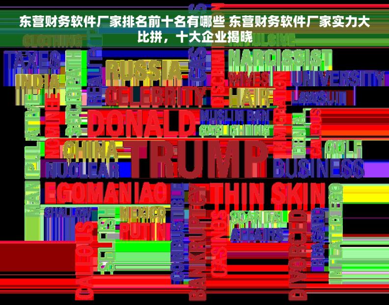 东营财务软件厂家排名前十名有哪些 东营财务软件厂家实力大比拼，十大企业揭晓