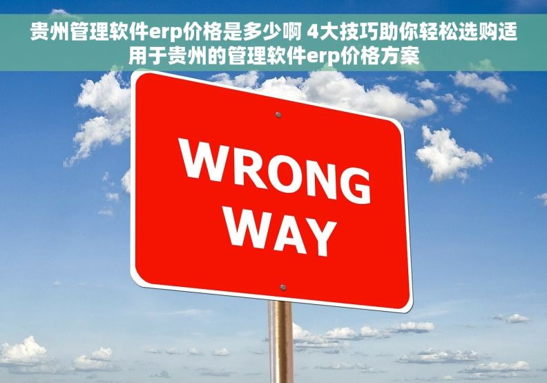 贵州管理软件erp价格是多少啊 4大技巧助你轻松选购适用于贵州的管理软件erp价格方案