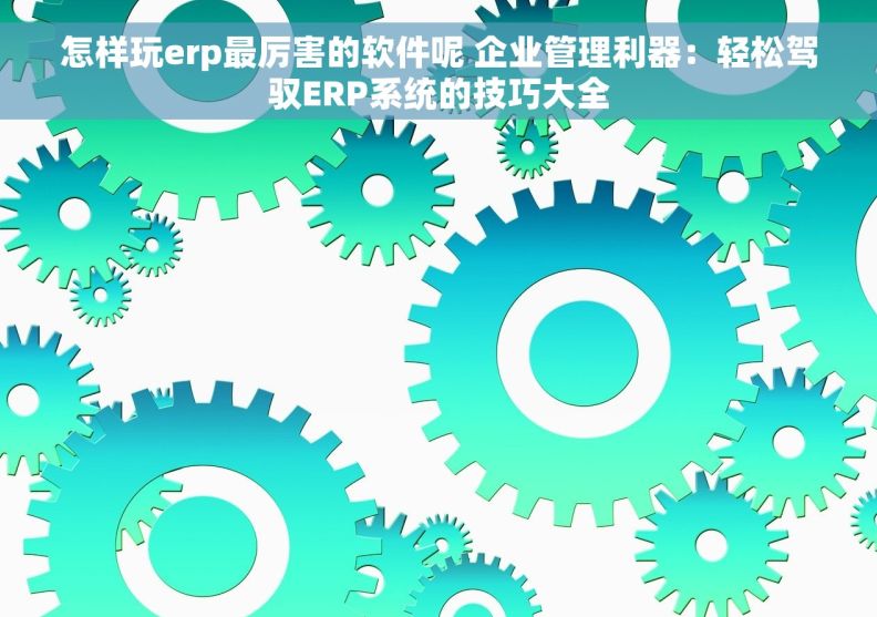 怎样玩erp最厉害的软件呢 企业管理利器：轻松驾驭ERP系统的技巧大全