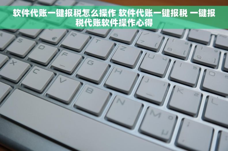 软件代账一键报税怎么操作 软件代账一键报税 一键报税代账软件操作心得