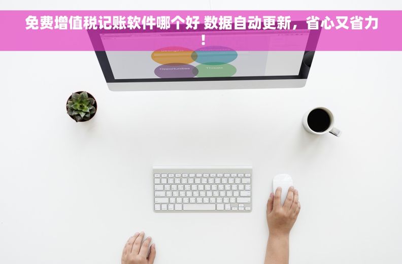 免费增值税记账软件哪个好 数据自动更新，省心又省力！