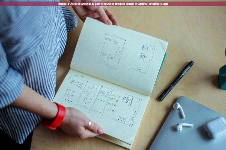 湖南代理记账财务软件有哪些 湖南代理记账财务软件使用教程 最详细的记账软件操作指南