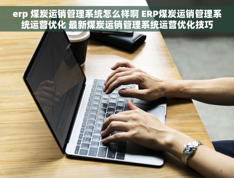 erp 煤炭运销管理系统怎么样啊 ERP煤炭运销管理系统运营优化 最新煤炭运销管理系统运营优化技巧