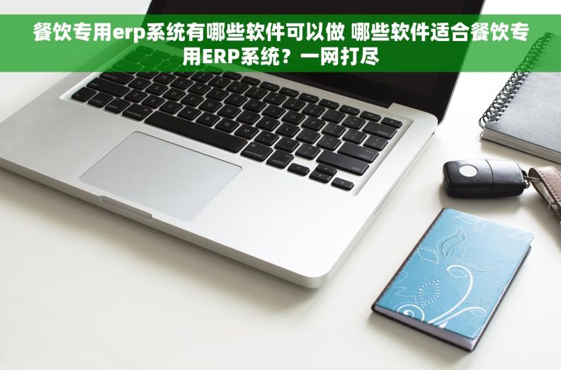餐饮专用erp系统有哪些软件可以做 哪些软件适合餐饮专用ERP系统？一网打尽