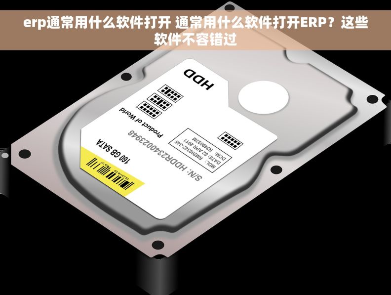 erp通常用什么软件打开 通常用什么软件打开ERP？这些软件不容错过