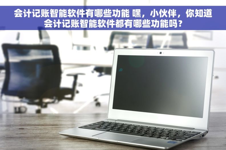 会计记账智能软件有哪些功能 嘿，小伙伴，你知道会计记账智能软件都有哪些功能吗？