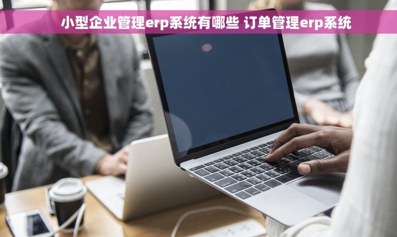     小型企业管理erp系统有哪些 订单管理erp系统