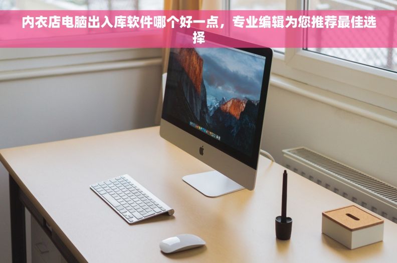 内衣店电脑出入库软件哪个好一点，专业编辑为您推荐最佳选择