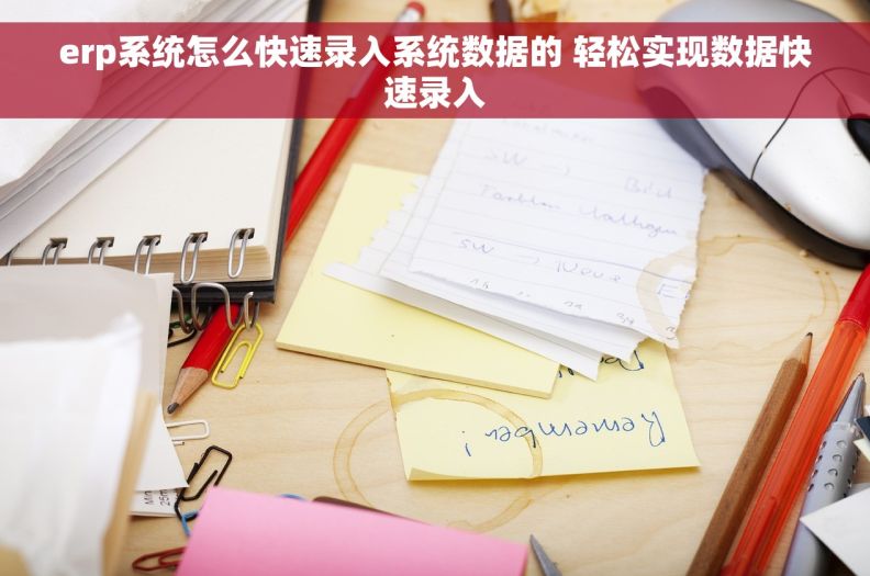 erp系统怎么快速录入系统数据的 轻松实现数据快速录入