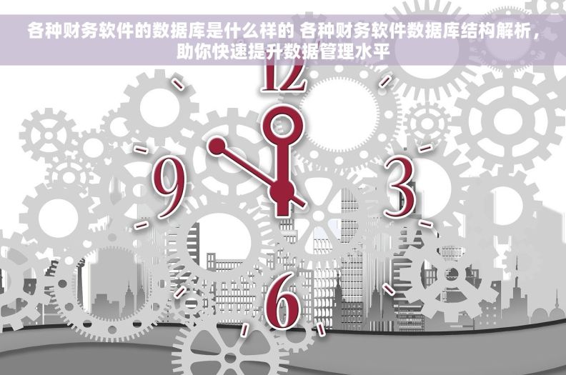 各种财务软件的数据库是什么样的 各种财务软件数据库结构解析，助你快速提升数据管理水平