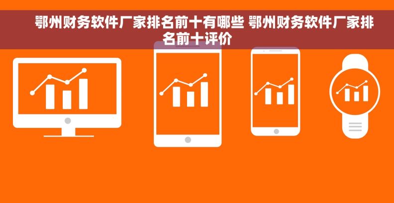     鄂州财务软件厂家排名前十有哪些 鄂州财务软件厂家排名前十评价