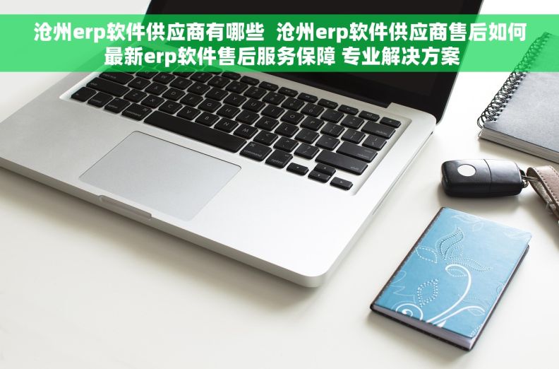 沧州erp软件供应商有哪些  沧州erp软件供应商售后如何 最新erp软件售后服务保障 专业解决方案