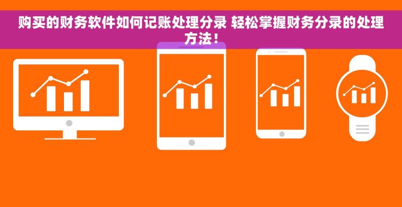 购买的财务软件如何记账处理分录 轻松掌握财务分录的处理方法！