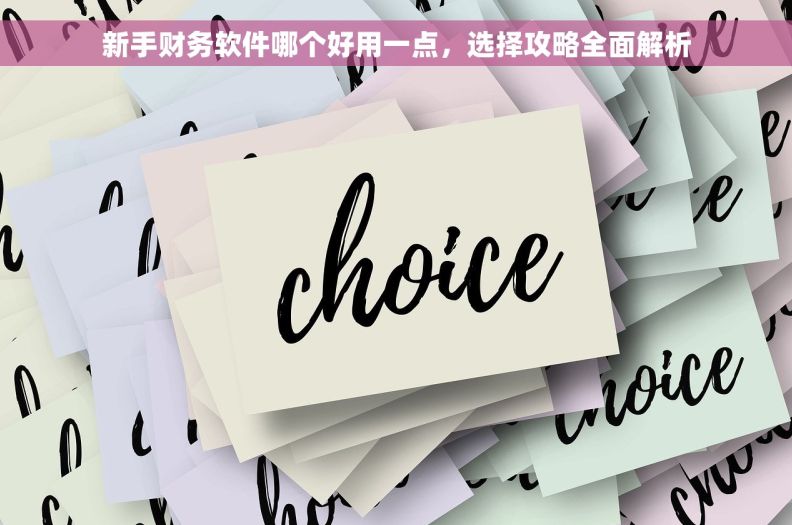 新手财务软件哪个好用一点，选择攻略全面解析