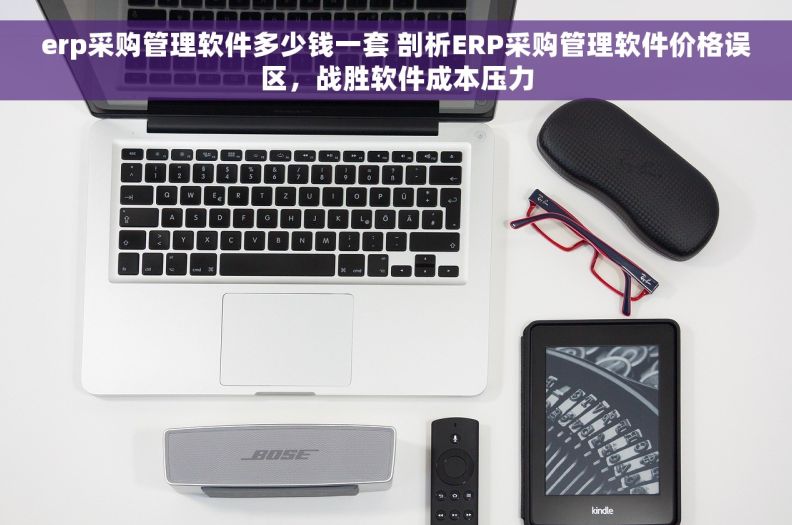 erp采购管理软件多少钱一套 剖析ERP采购管理软件价格误区，战胜软件成本压力