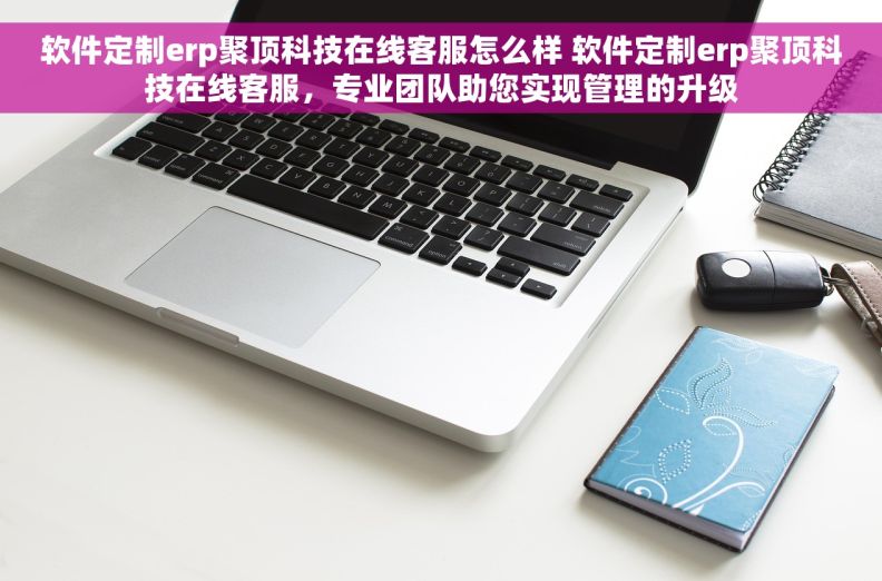 软件定制erp聚顶科技在线客服怎么样 软件定制erp聚顶科技在线客服，专业团队助您实现管理的升级