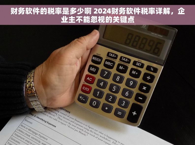 财务软件的税率是多少啊 2024财务软件税率详解，企业主不能忽视的关键点