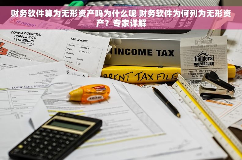 财务软件算为无形资产吗为什么呢 财务软件为何列为无形资产？专家详解