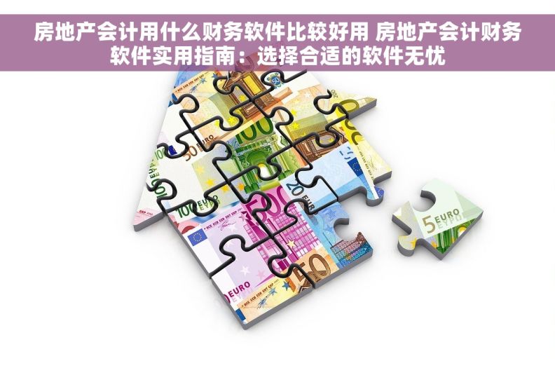 房地产会计用什么财务软件比较好用 房地产会计财务软件实用指南：选择合适的软件无忧