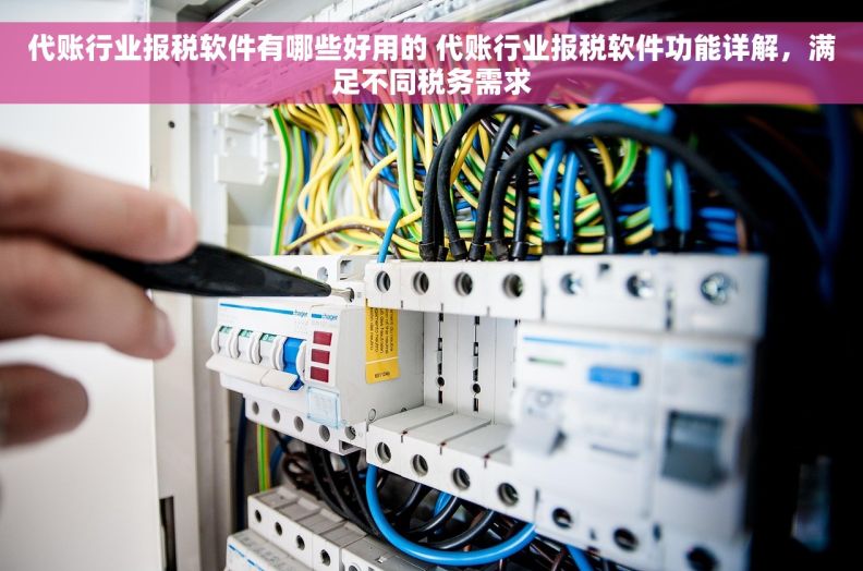 代账行业报税软件有哪些好用的 代账行业报税软件功能详解，满足不同税务需求