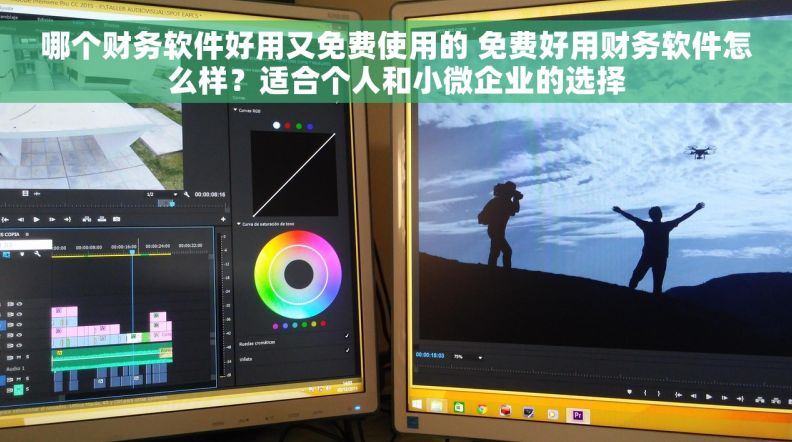 哪个财务软件好用又免费使用的 免费好用财务软件怎么样？适合个人和小微企业的选择