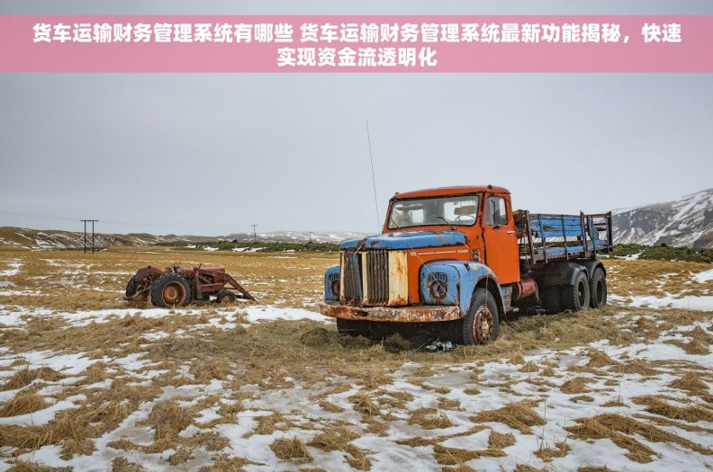 货车运输财务管理系统有哪些 货车运输财务管理系统最新功能揭秘，快速实现资金流透明化