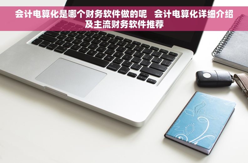 会计电算化是哪个财务软件做的呢   会计电算化详细介绍及主流财务软件推荐