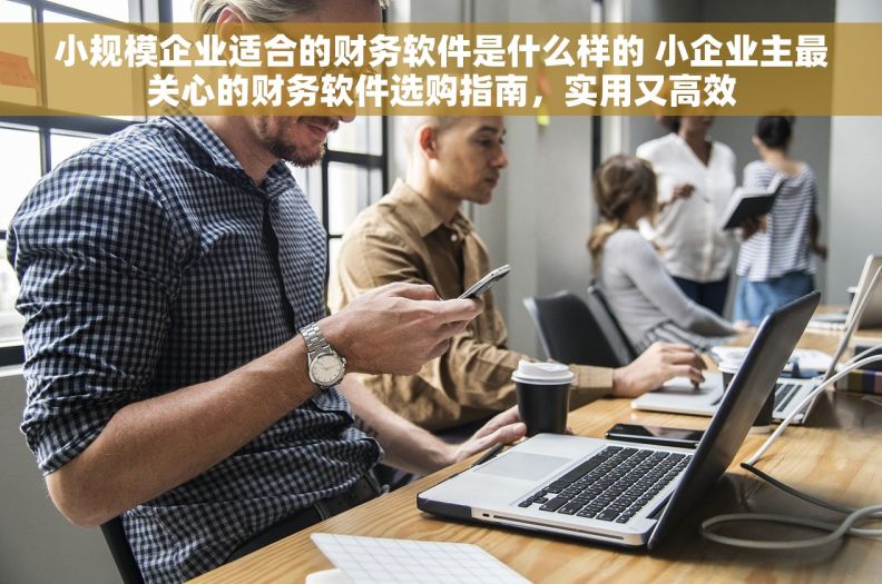 小规模企业适合的财务软件是什么样的 小企业主最关心的财务软件选购指南，实用又高效