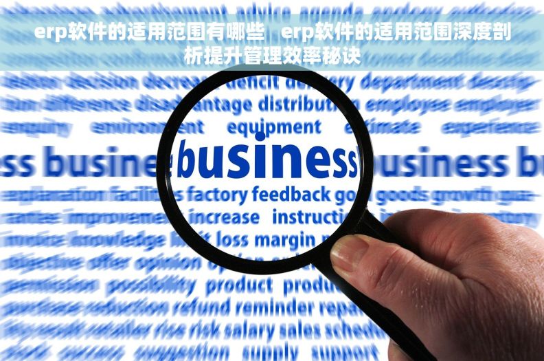 erp软件的适用范围有哪些   erp软件的适用范围深度剖析提升管理效率秘诀