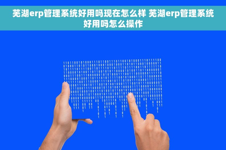 芜湖erp管理系统好用吗现在怎么样 芜湖erp管理系统好用吗怎么操作