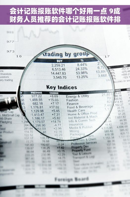 会计记账报账软件哪个好用一点 9成财务人员推荐的会计记账报账软件排行榜