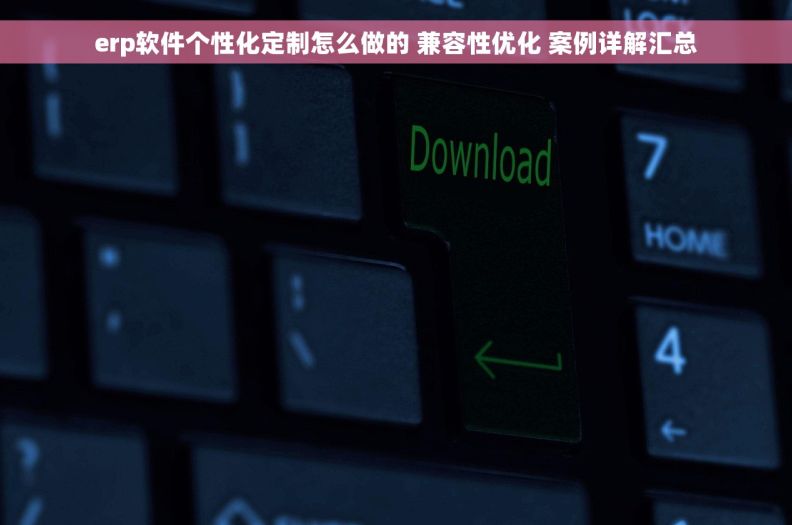 erp软件个性化定制怎么做的 兼容性优化 案例详解汇总