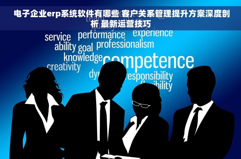  电子企业erp系统软件有哪些 客户关系管理提升方案深度剖析 最新运营技巧