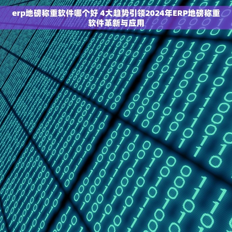 erp地磅称重软件哪个好 4大趋势引领2024年ERP地磅称重软件革新与应用