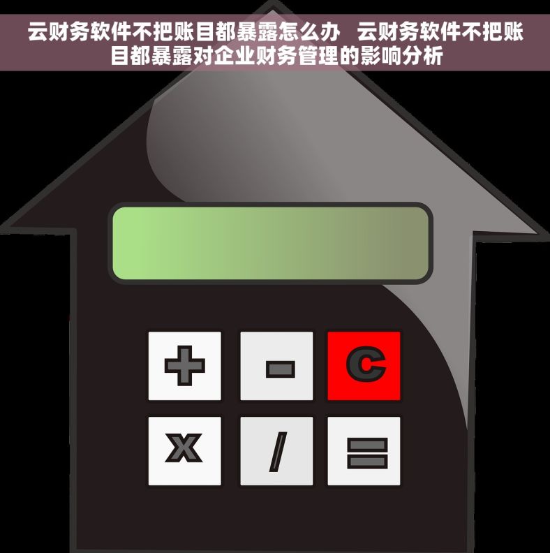 云财务软件不把账目都暴露怎么办   云财务软件不把账目都暴露对企业财务管理的影响分析