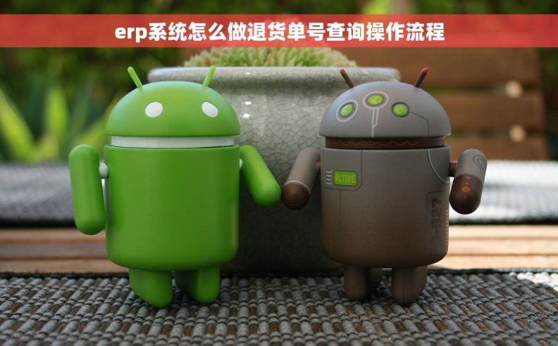 erp系统怎么做退货单号查询操作流程