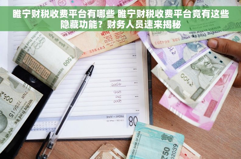 睢宁财税收费平台有哪些 睢宁财税收费平台竟有这些隐藏功能？财务人员速来揭秘