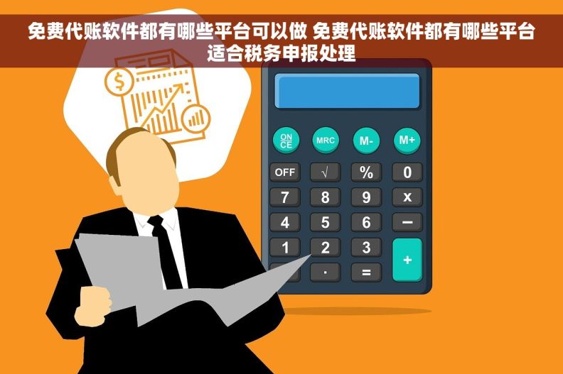 免费代账软件都有哪些平台可以做 免费代账软件都有哪些平台适合税务申报处理