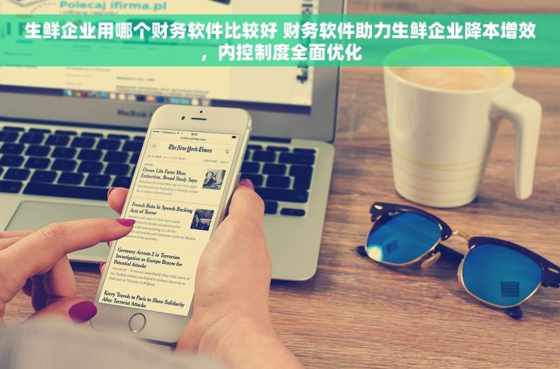生鲜企业用哪个财务软件比较好 财务软件助力生鲜企业降本增效，内控制度全面优化