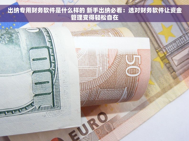 出纳专用财务软件是什么样的 新手出纳必看：选对财务软件让资金管理变得轻松自在