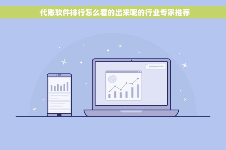   代账软件排行怎么看的出来呢的行业专家推荐