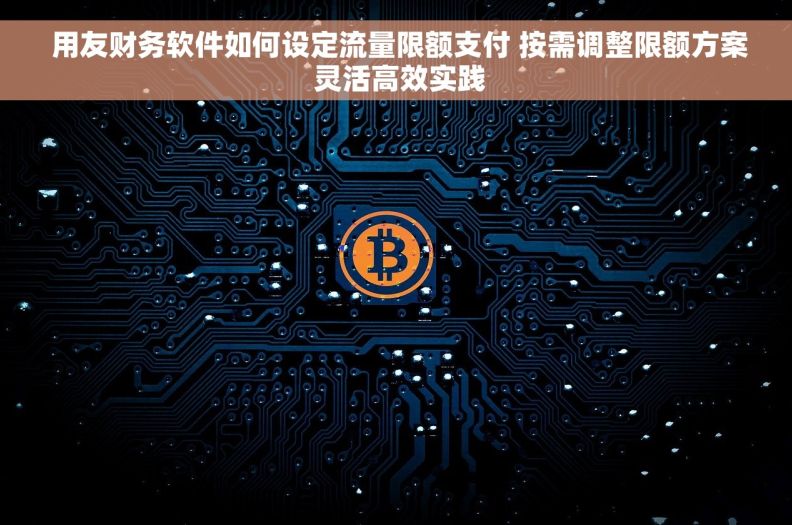  用友财务软件如何设定流量限额支付 按需调整限额方案 灵活高效实践