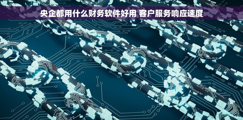 央企都用什么财务软件好用 客户服务响应速度 央企都用什么财务软件好用 客户服务响应速度