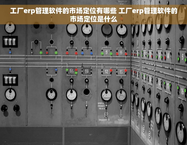 工厂erp管理软件的市场定位有哪些 工厂erp管理软件的市场定位是什么 工厂erp管理软件的市场定位有哪些 工厂erp管理软件的市场定位是什么