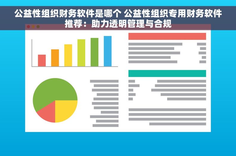 公益性组织财务软件是哪个 公益性组织专用财务软件推荐：助力透明管理与合规