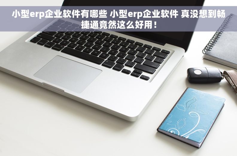 小型erp企业软件有哪些 小型erp企业软件 真没想到畅捷通竟然这么好用！