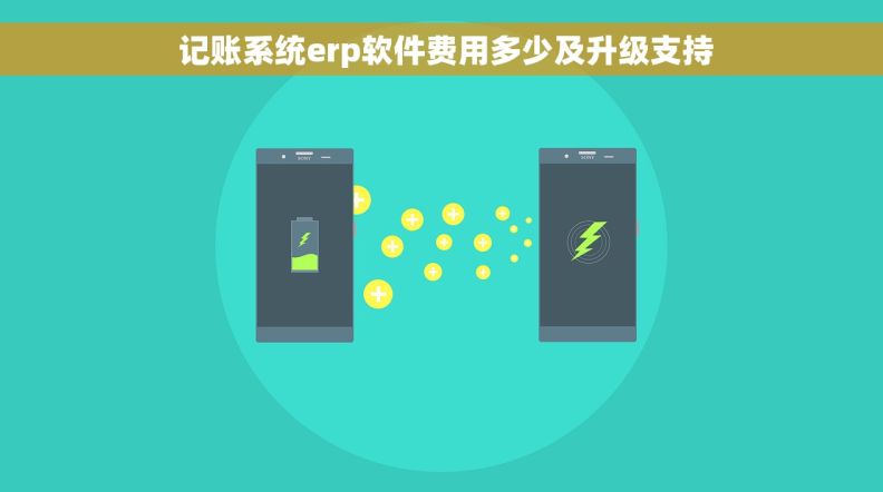  记账系统erp软件费用多少及升级支持