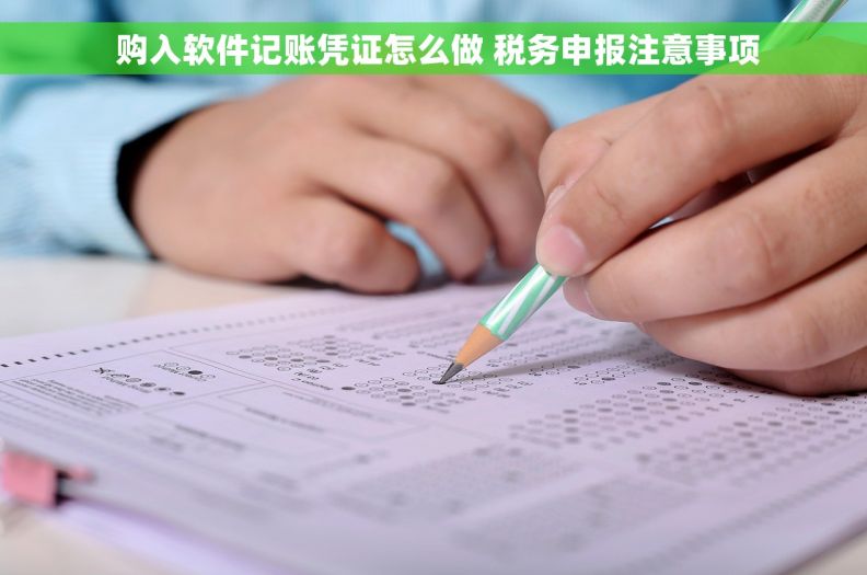  购入软件记账凭证怎么做 税务申报注意事项