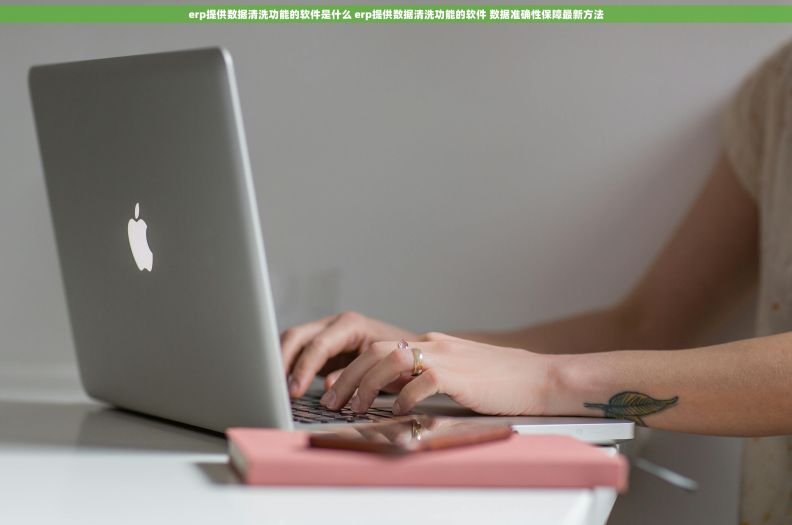 erp提供数据清洗功能的软件是什么 erp提供数据清洗功能的软件 数据准确性保障最新方法